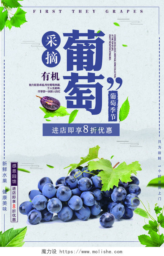 采摘有机葡萄新鲜水果促销宣传海报